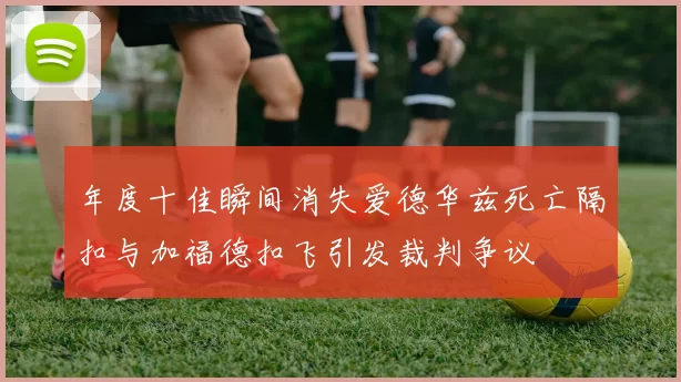 年度十佳瞬间消失爱德华兹死亡隔扣与加福德扣飞引发裁判争议