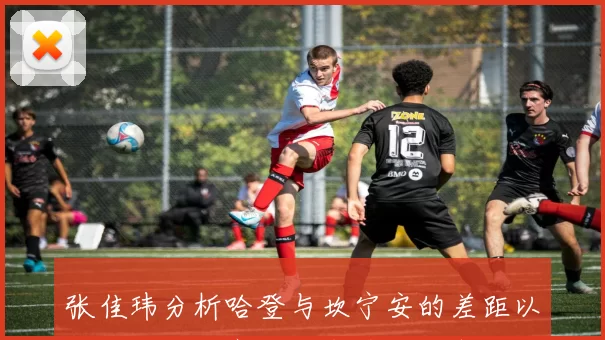 张佳玮分析哈登与坎宁安的差距以及骑士和活塞的防守策略与完整性